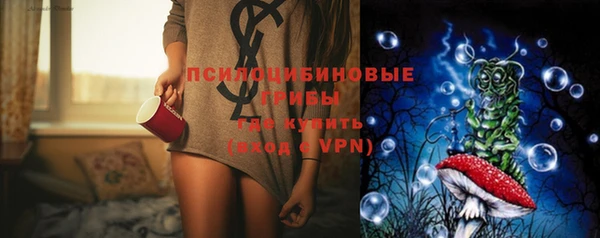 шишки Армянск