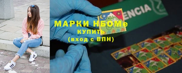 шишки Армянск