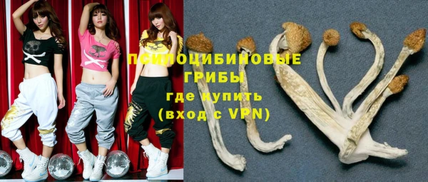 шишки Армянск